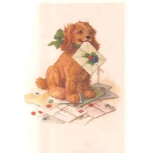 Carte double & Enveloppe Chien | Jolies Trouvailles