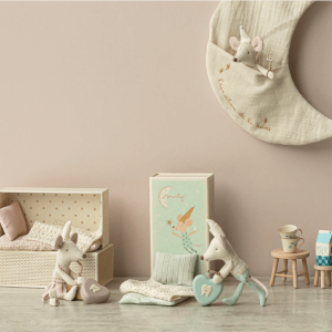 Boite Fée des Dents Rose | Maileg