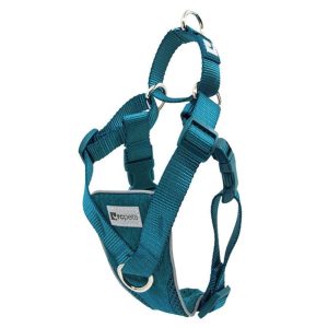 Harnais Tempo Sans Traction pour Chien, Bleu Sarcelle – RC Pets