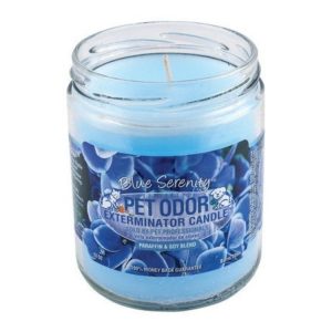 Chandelle « Blue Serenity » Éliminateur d’odeurs d’animaux – Holly Molly
